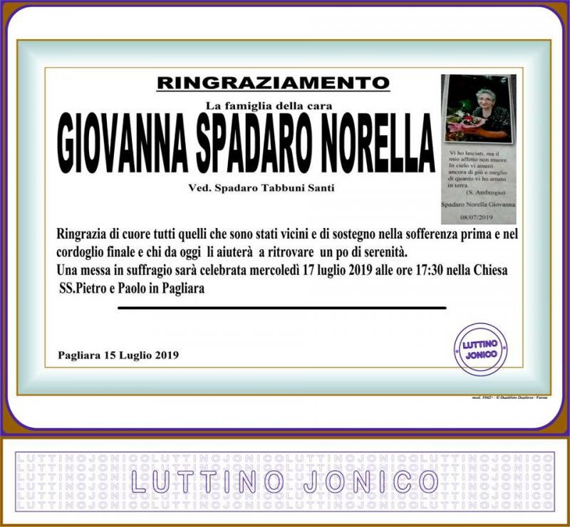 Giovanna Spadaro Norella