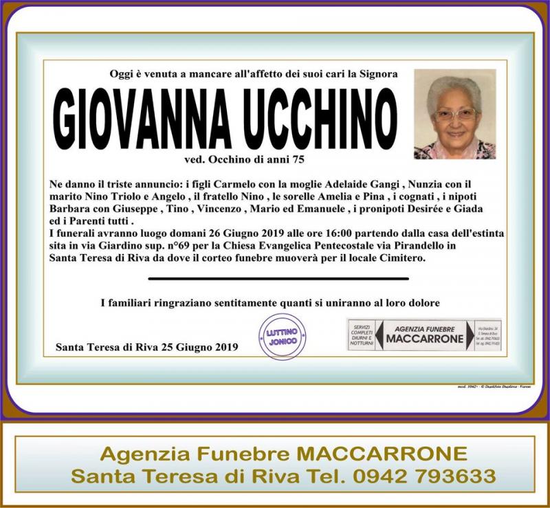 Giovanna Ucchino