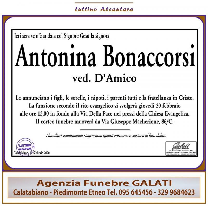Antonina Bonaccorsi