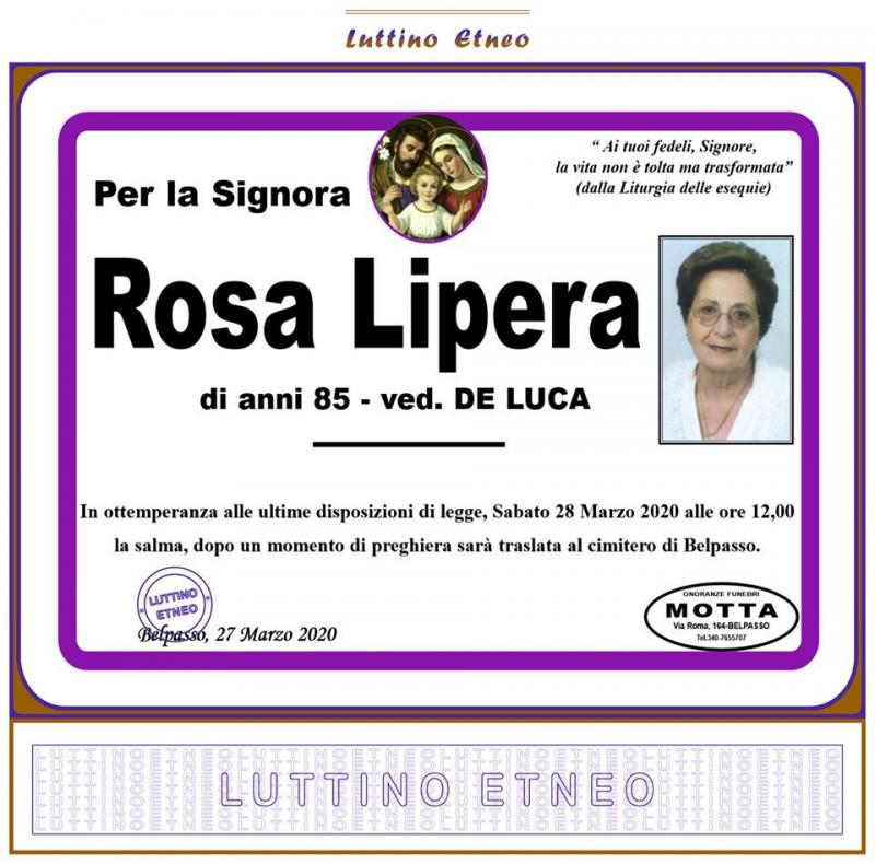 Rosa Lipera