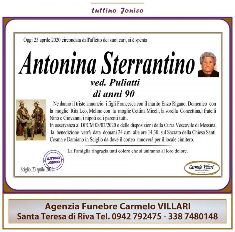 Antonina Sterrantino