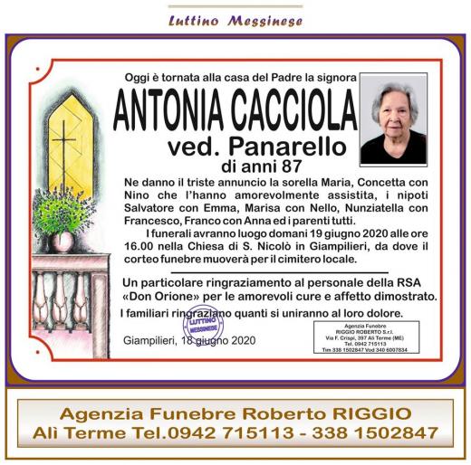 Antonia Cacciola