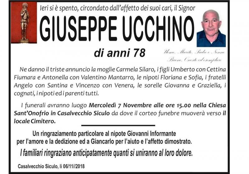 Giuseppe Ucchino