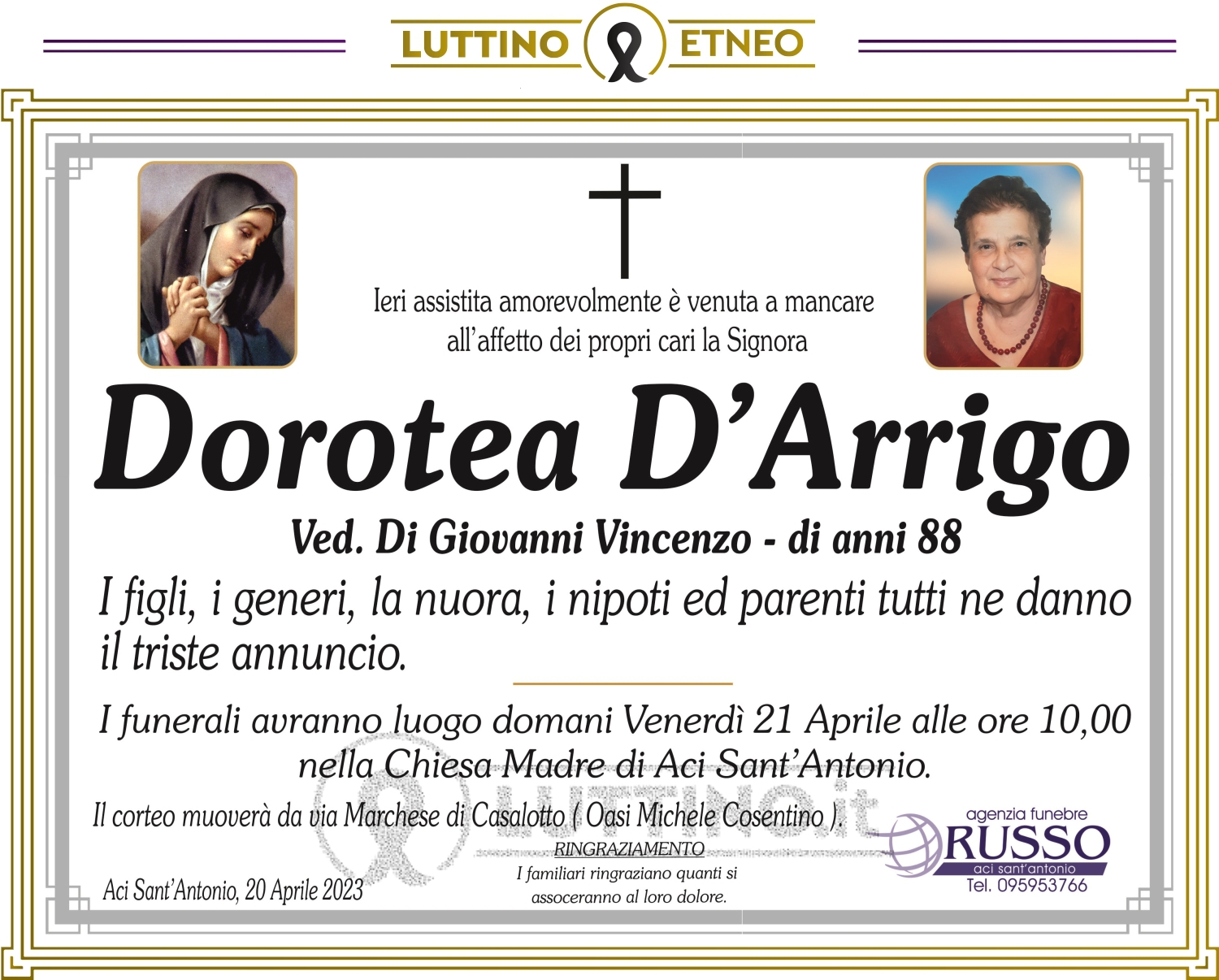 Dorotea D'Arrigo