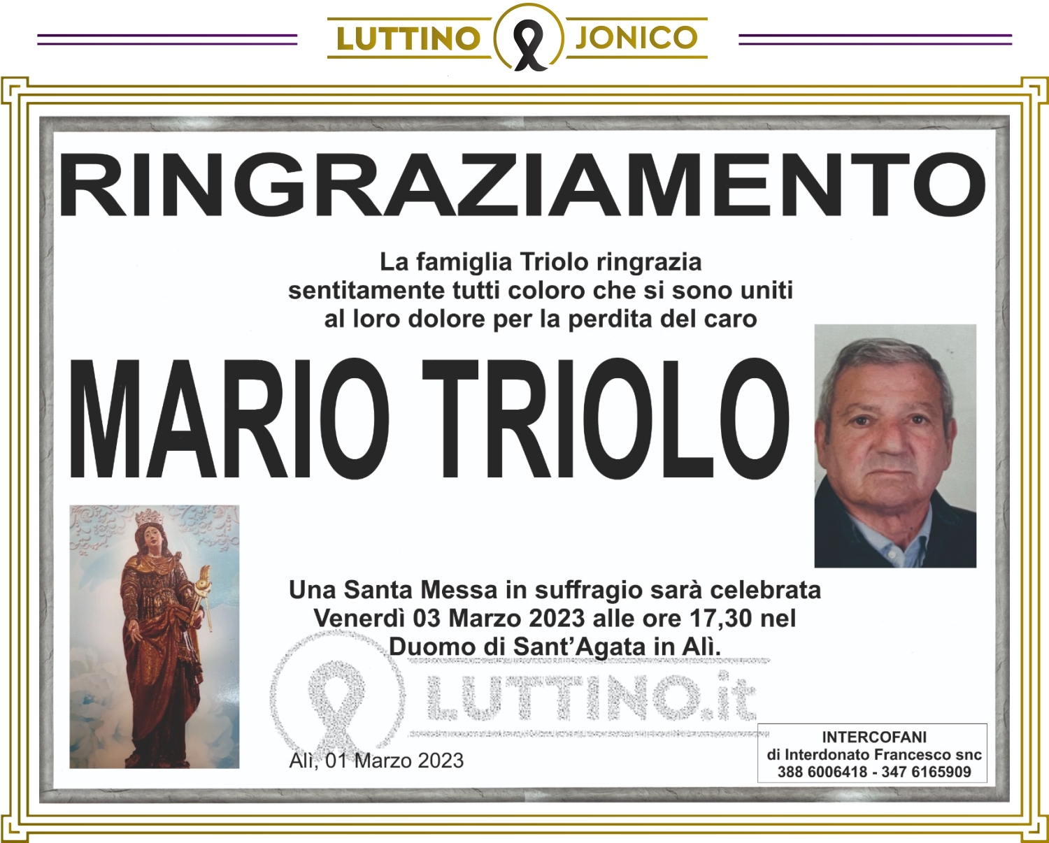Mario Triolo
