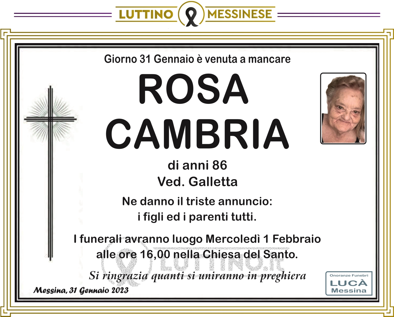 Rosa Cambria