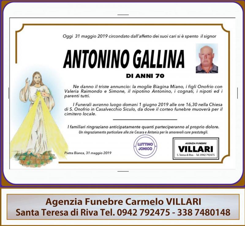 Antonino Gallina