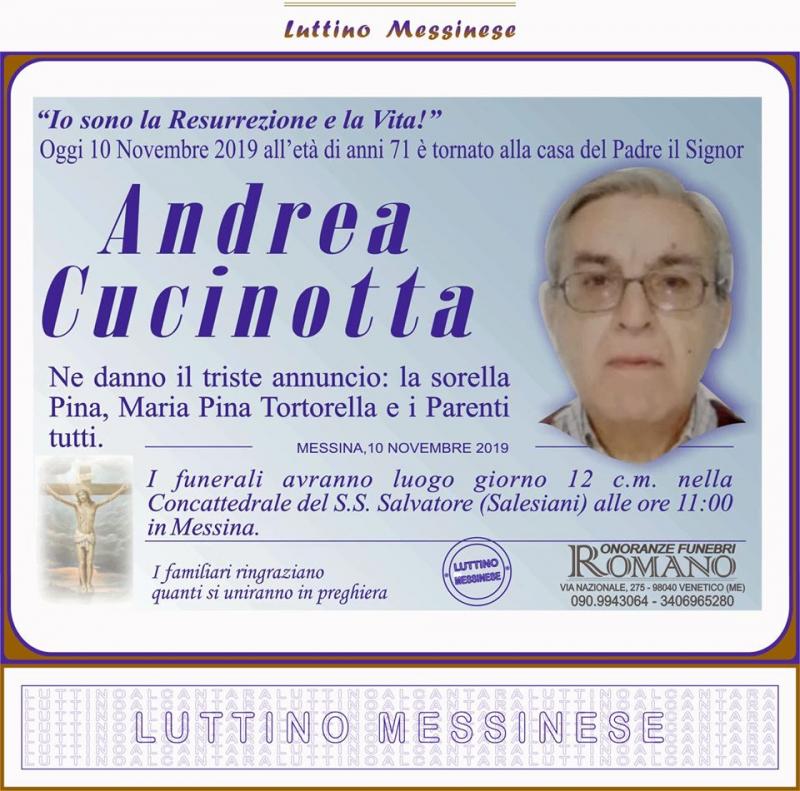 Andrea Cucinotta
