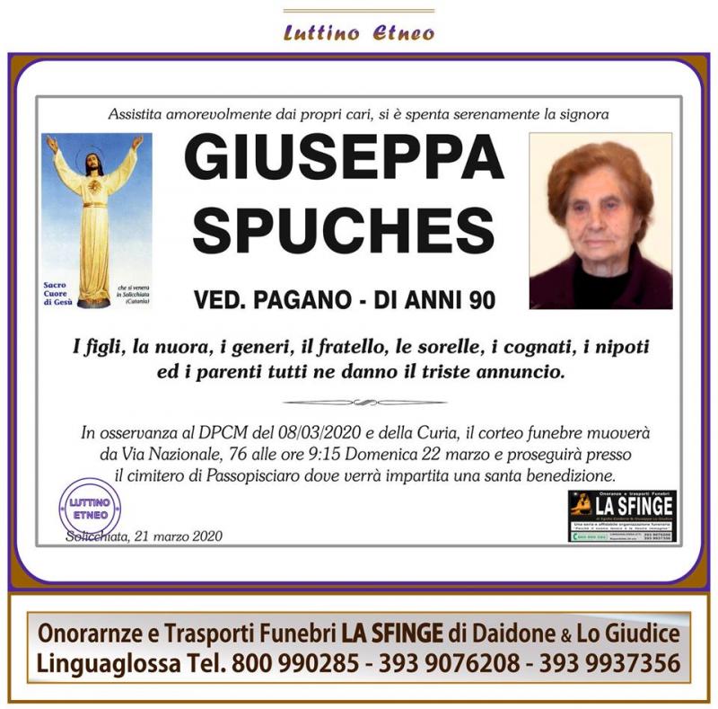 Giuseppa Spuches